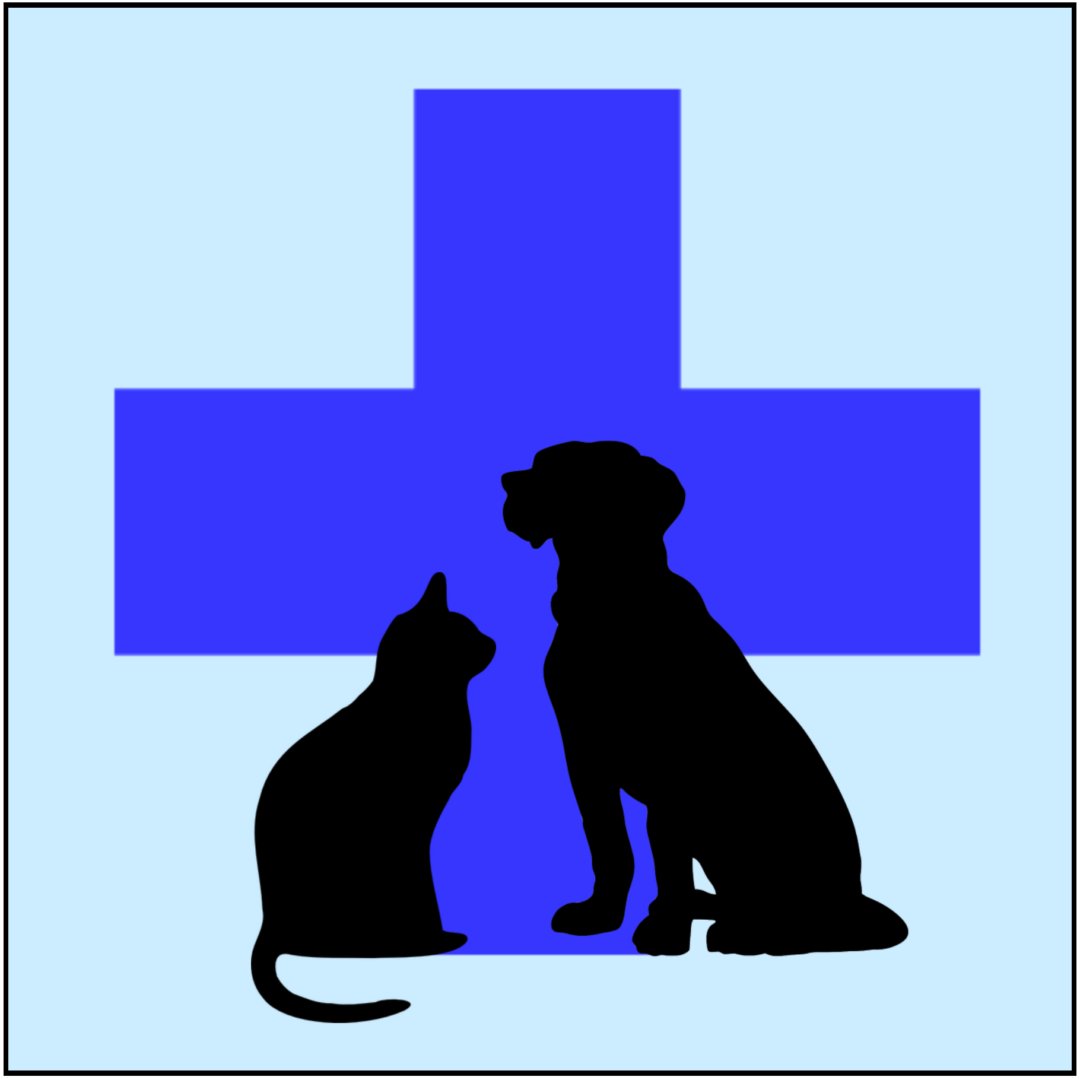 Pet Care Veterinary in El Cajon, CA | Bastet Animal Hospital